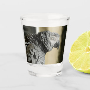 Afrikanisches Grau-Papagei des Kongos mit Schnapsglas