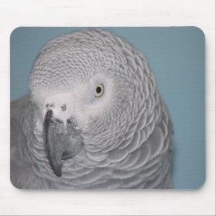 Afrikanisches Grau-Papagei Mousepad