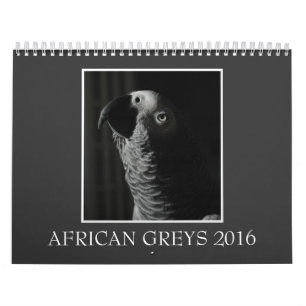 Afrikanisches Grau-Papageien-Kalender 2016 des Kalender