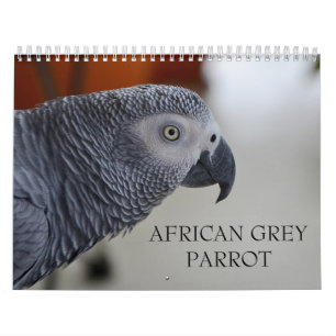 Afrikanisches Grau-Papageien-Kalender des Kongos Kalender
