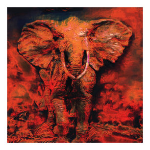 Afrikanisches Heat - Wilder Elefant Fotodruck