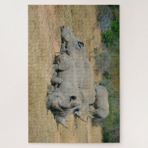 Afrikanisches Nashorn-Familien-Ruhepuzzle