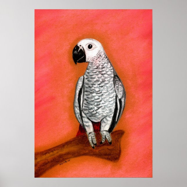 Afrikanisches Portrait Poster (Vorne)
