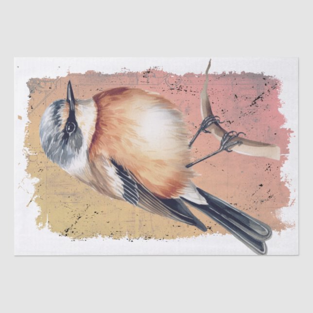 Afrikanisches Stonechat-Vogelgewebe Seidenpapier (Vorderseite)
