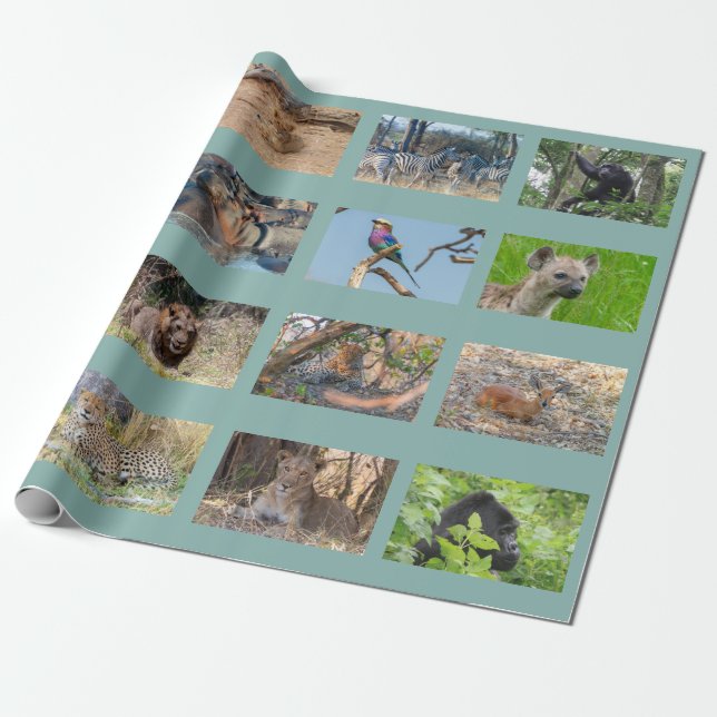 Afrikanisches Verpackungspapier für wild lebende T Geschenkpapier (Ungerollt)