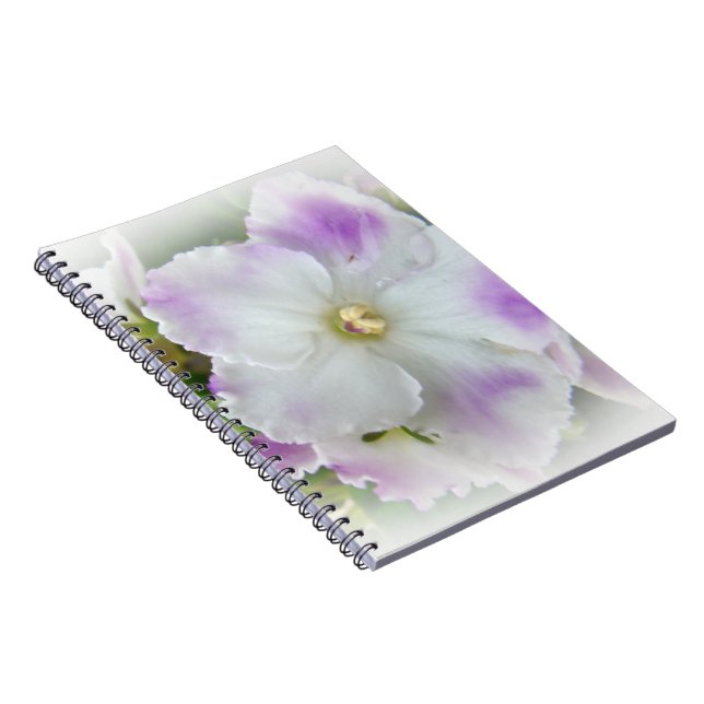 Afrikanisches Violet Blossom Notizblock (Rechte Seite)