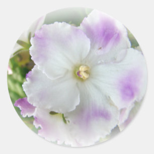 Afrikanisches Violet Blossom Runder Aufkleber