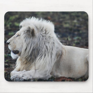 Afrikanisches weißes Löwe-Profil-Foto Mousepad
