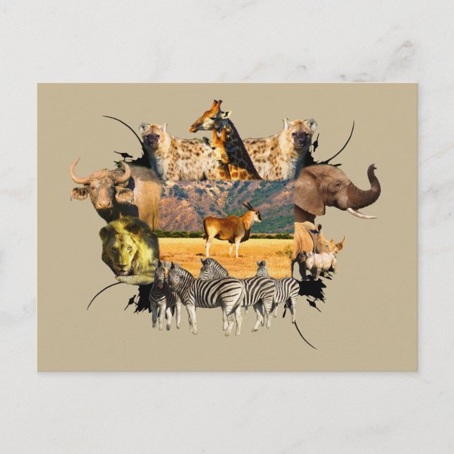 Afrikanisches Wildleben Rahmen Eland Mountain Postkarte (Vorderseite)