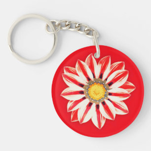 Afrique / Gazania - Rouge et blanc rayé
