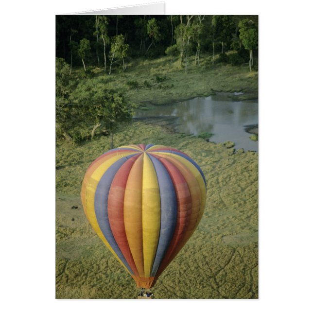 Afrique, Kenya, Réserve nationale du Masai Mara, 3 (Devant)