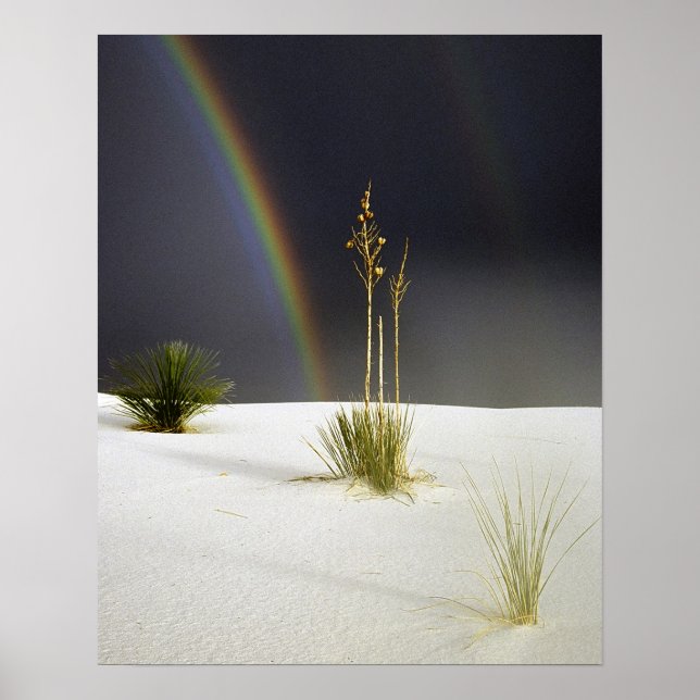 After the Rain Poster (Vorne)