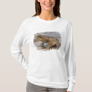 Aga-Kröte Rhinella marina, früher Bufo T-Shirt