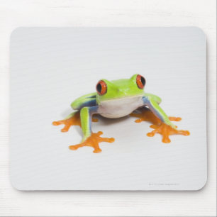 Agalychnis callidryas auf weißem Hintergrund Mousepad