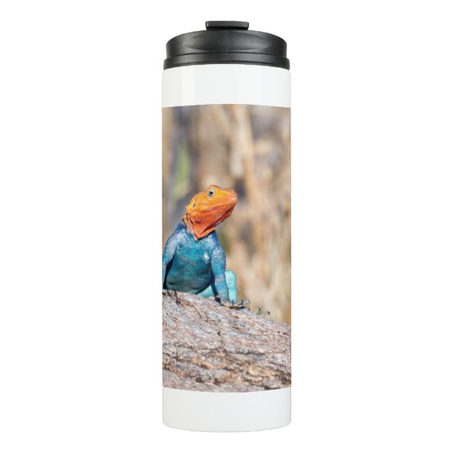 Agama Thermosbecher (Vorderseite)