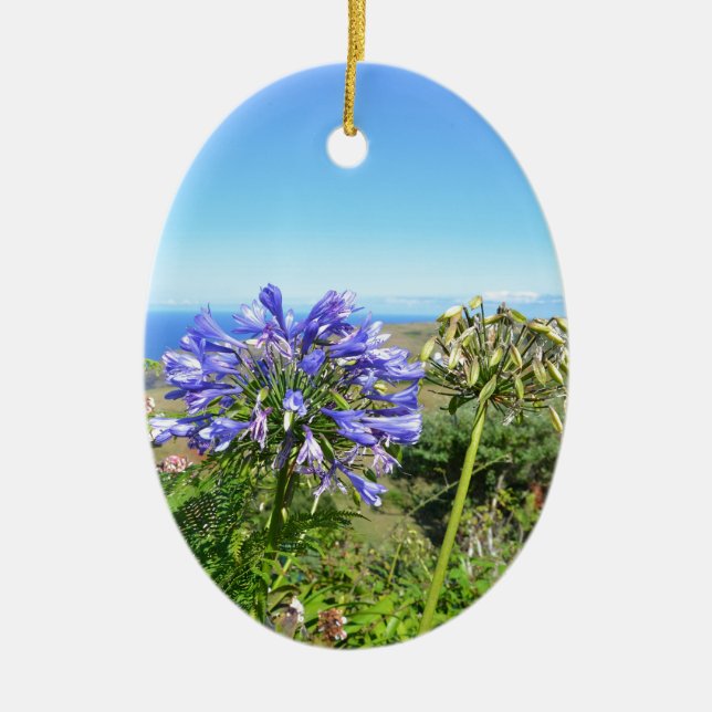 Agapanthus auf den Azoren Keramikornament (Vorne)