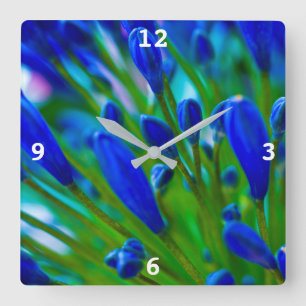 Agapanthus blue flower Acrylic wall clock Quadratische Wanduhr
