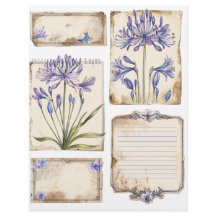 Agapanthus Blume Fussy Cut Ephemera