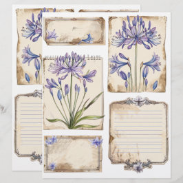 Agapanthus Blume Fussy Cut Ephemera Briefbogen