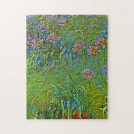 Agapanthus-Blume von Monet
