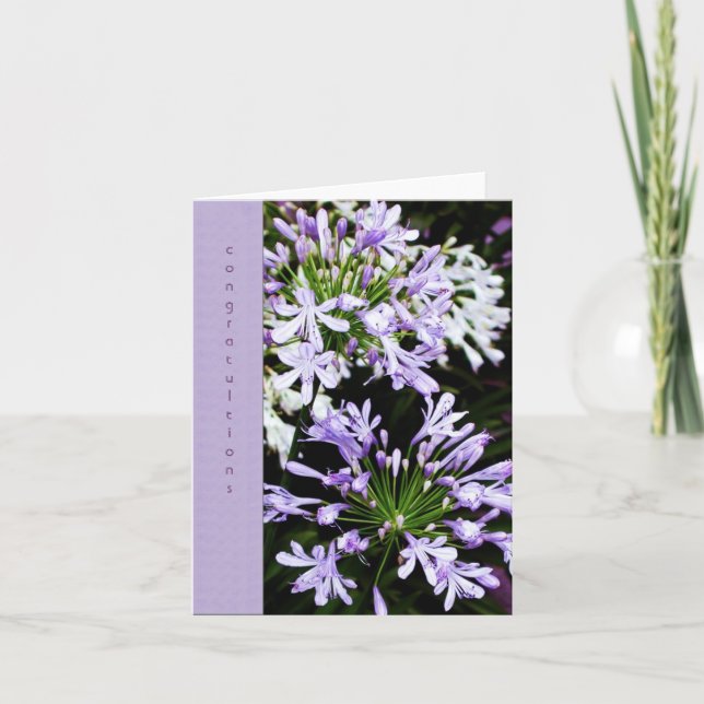 Agapanthus-Blüte Karte (Vorderseite)
