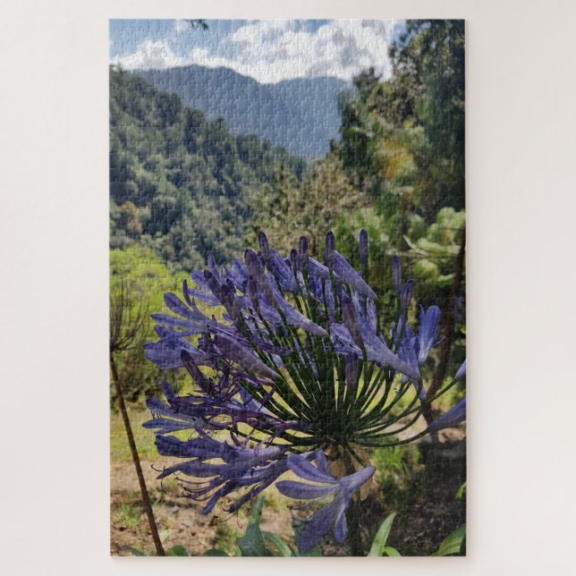 Agapanthus im Bergschatten (Vertikal)