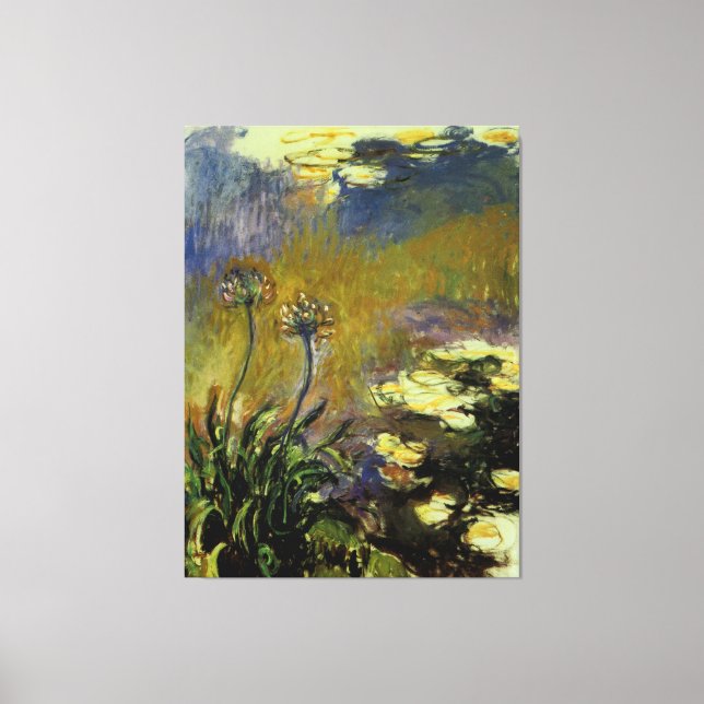 Agapanthus Leinwanddruck (Vorderseite)