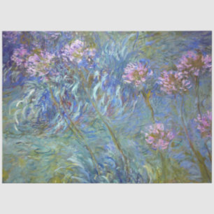 Agapanthus, Monet Seidenpapier