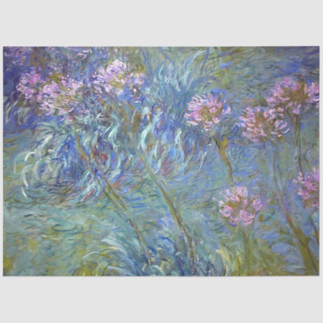 Agapanthus, Monet Seidenpapier (Vorderseite)