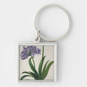 Agapanthus umbrellatus schlüsselanhänger