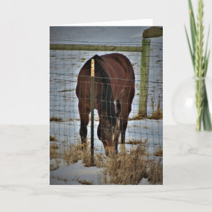 "Agape Acres" Geburtstagskarte Karte