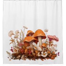 Agaricaceae toadstool Klein