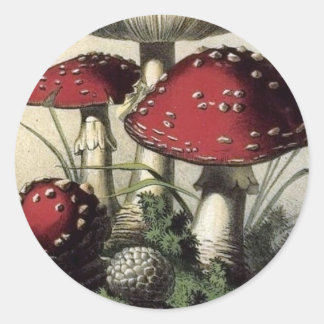 Agaricus Muscarius Mushroom Runder Aufkleber