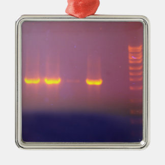 Agarose-Gel-Elektrophorese Silbernes Ornament