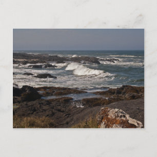 Agate Cove, Oregon Postkarte