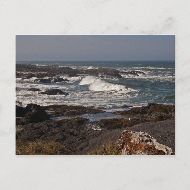 Agate Cove, Oregon Postkarte (Vorderseite)