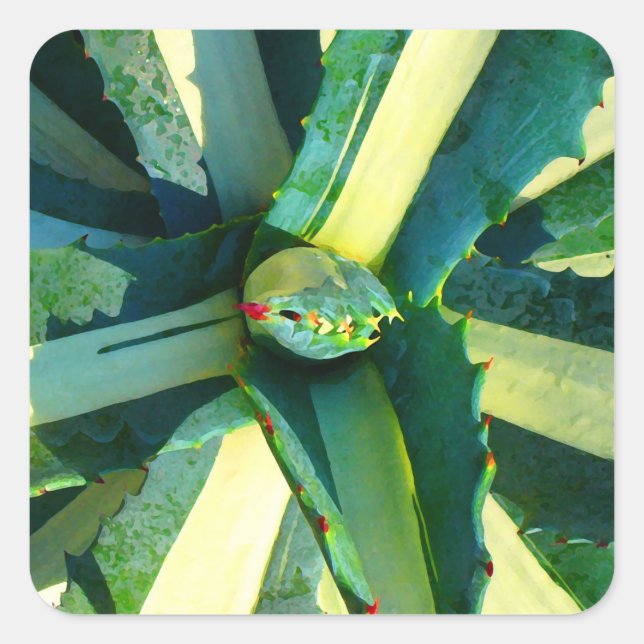 Agave Americana durch Amy Vangsgard Quadratischer Aufkleber (Vorderseite)