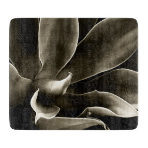 Agave Attenuata in Sepia Schneidebrett