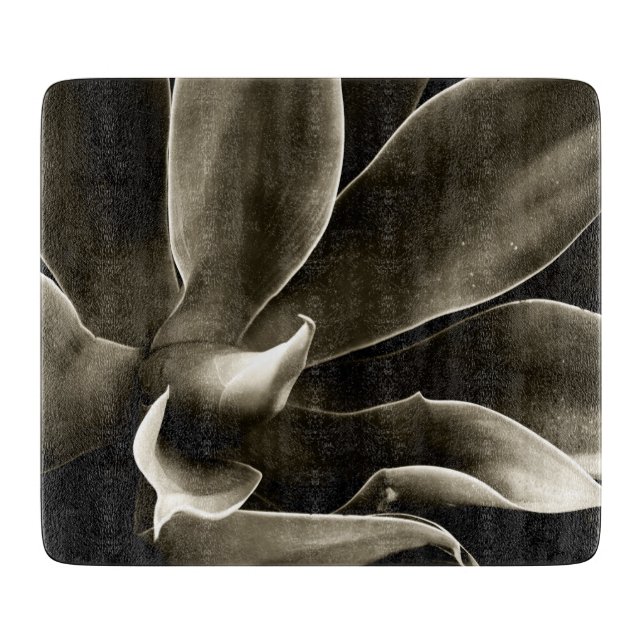 Agave Attenuata in Sepia Schneidebrett (Vorderseite)