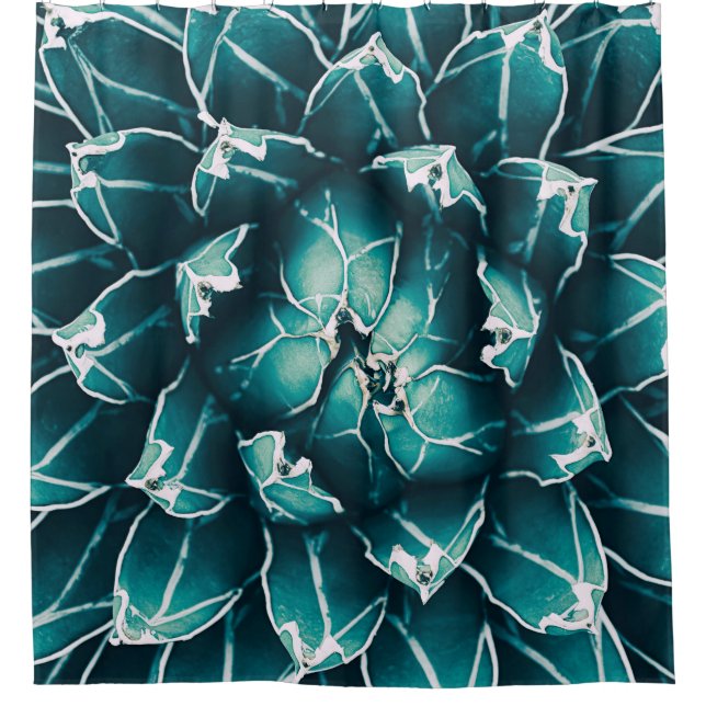agave cactus,  abstract nature background,  top vi duschvorhang (Vorderseite)
