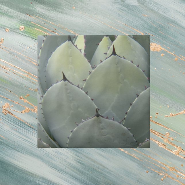 Agave Cactus Pflanze Southwestern Style Fliese (In Situ)