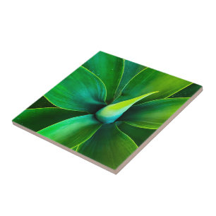 Agave Design Keramikfliese