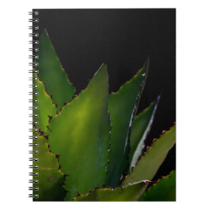 Agave glühen notizblock