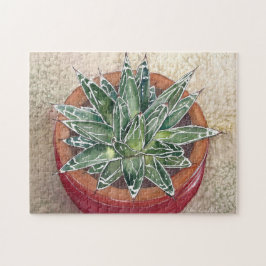 Agave in pot-Puzzle