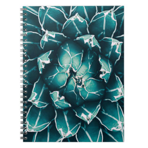 agave Kakteen, abstrakter Naturhintergrund, Topans Notizblock