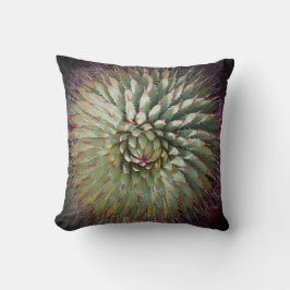 Agave nagelt 16" quadratisches Kissen fest