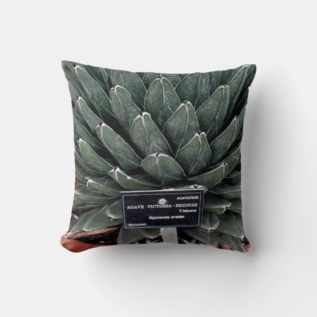Agave Pflanze Foto Kissen 41 cm x 41 cm (Vorderseite)