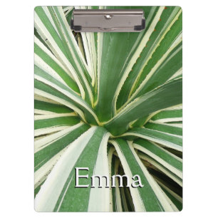 Agave Pflanze grün und weiß gestrichen Klemmbrett