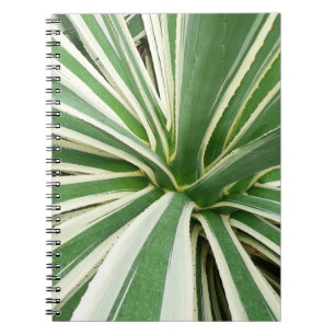 Agave Pflanze grün und weiß gestrichen Notizblock