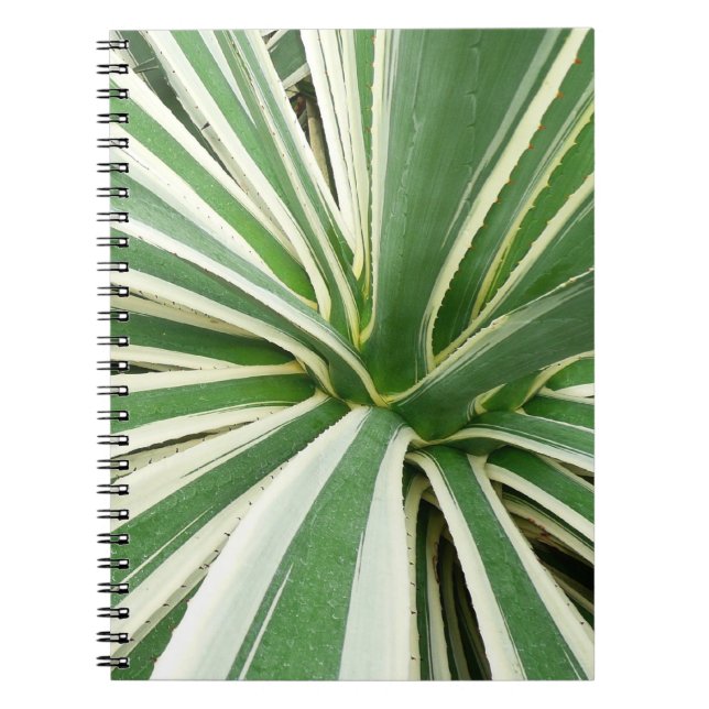 Agave Pflanze grün und weiß gestrichen Notizblock (Vorderseite)